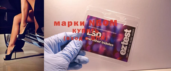 молекула духа Козловка