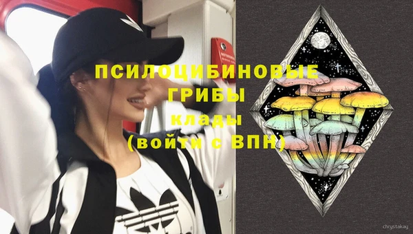 СК Карпинск