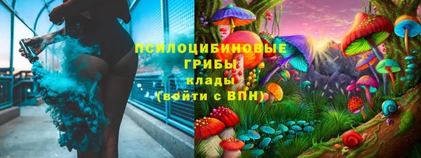 метадон Касимов