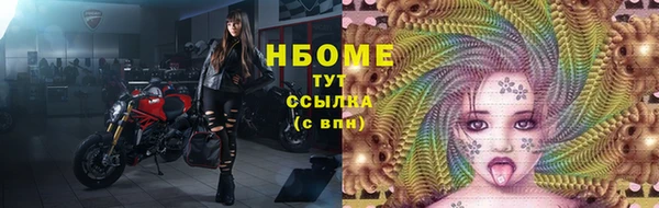 молекула духа Козловка