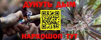 сатива Дмитров