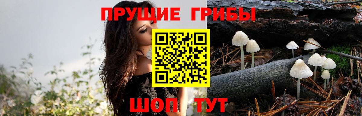 Псилоцибиновые грибы ЛСД  Вход с VPN  Корсаков 