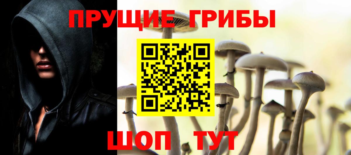 Галлюциногенные грибы Psilocybine cubensis Корсаков