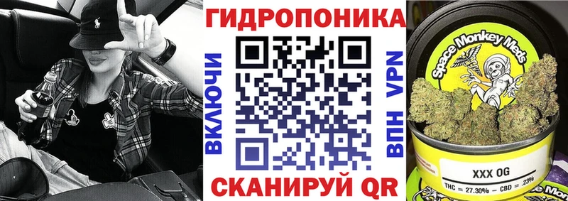 где найти наркотики  Корсаков  Бошки Шишки SATIVA & INDICA 